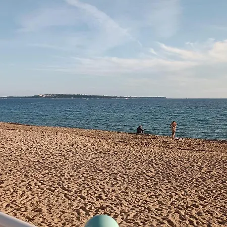 Proche Palais Des Festivals Et Plages Du Midi *