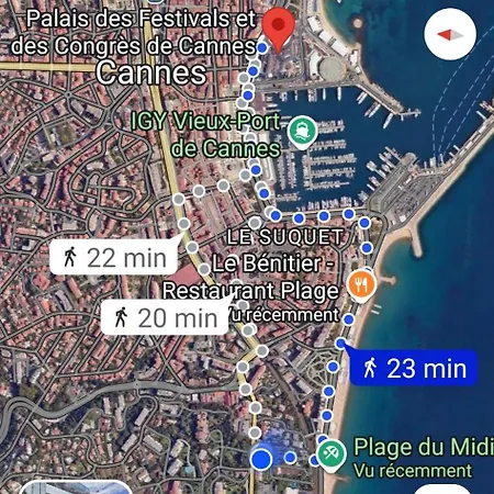 Proche Palais Des Festivals Et Plages Du Midi Appartement