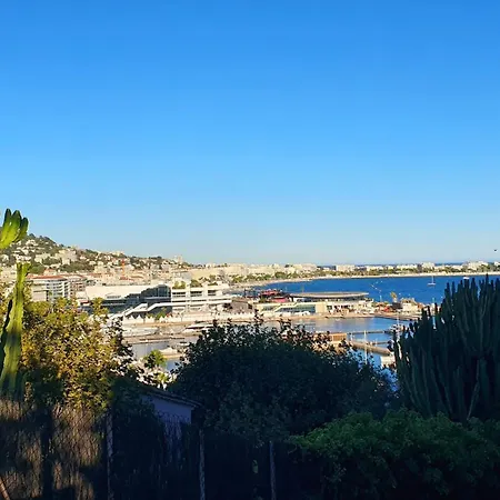 Palais Des Festivals Un Pied Dans L'eau Cannes