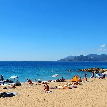 Proche Palais Des Festivals Et Plages Du Midi Appartement Cannes
